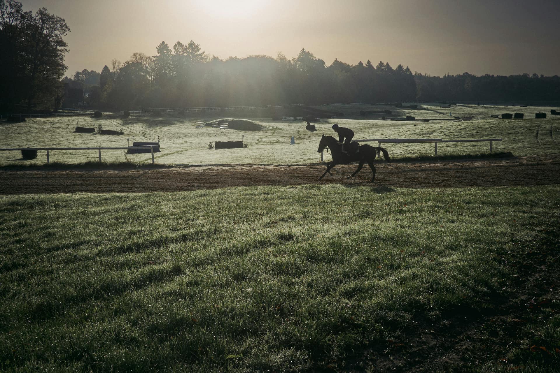 Racehorse on an early morning training gallop months before the big race, when ante post betting prices are struck