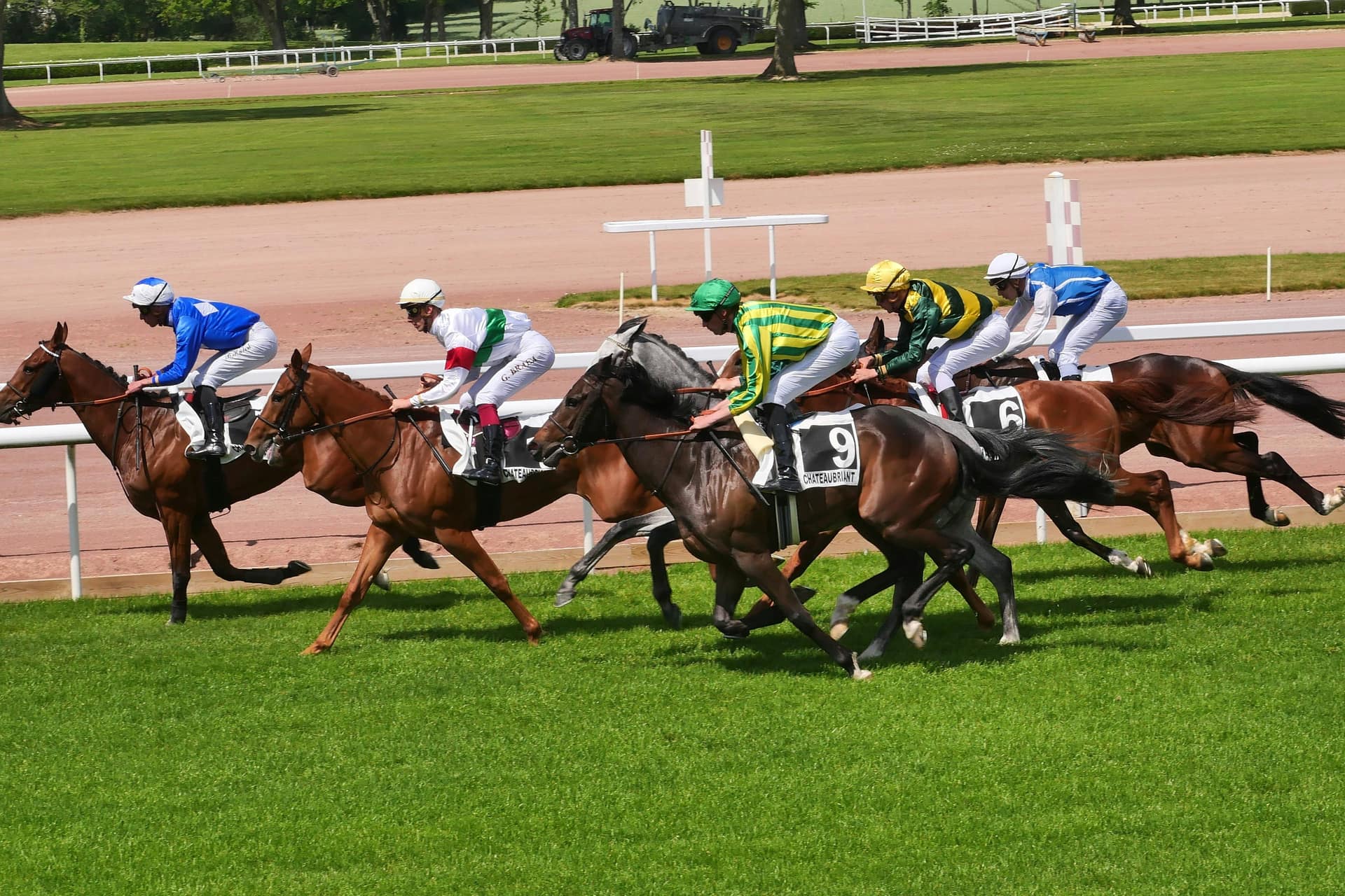 Runners racing for the line on a turf track, where best odds guaranteed pays the better of your price and the SP