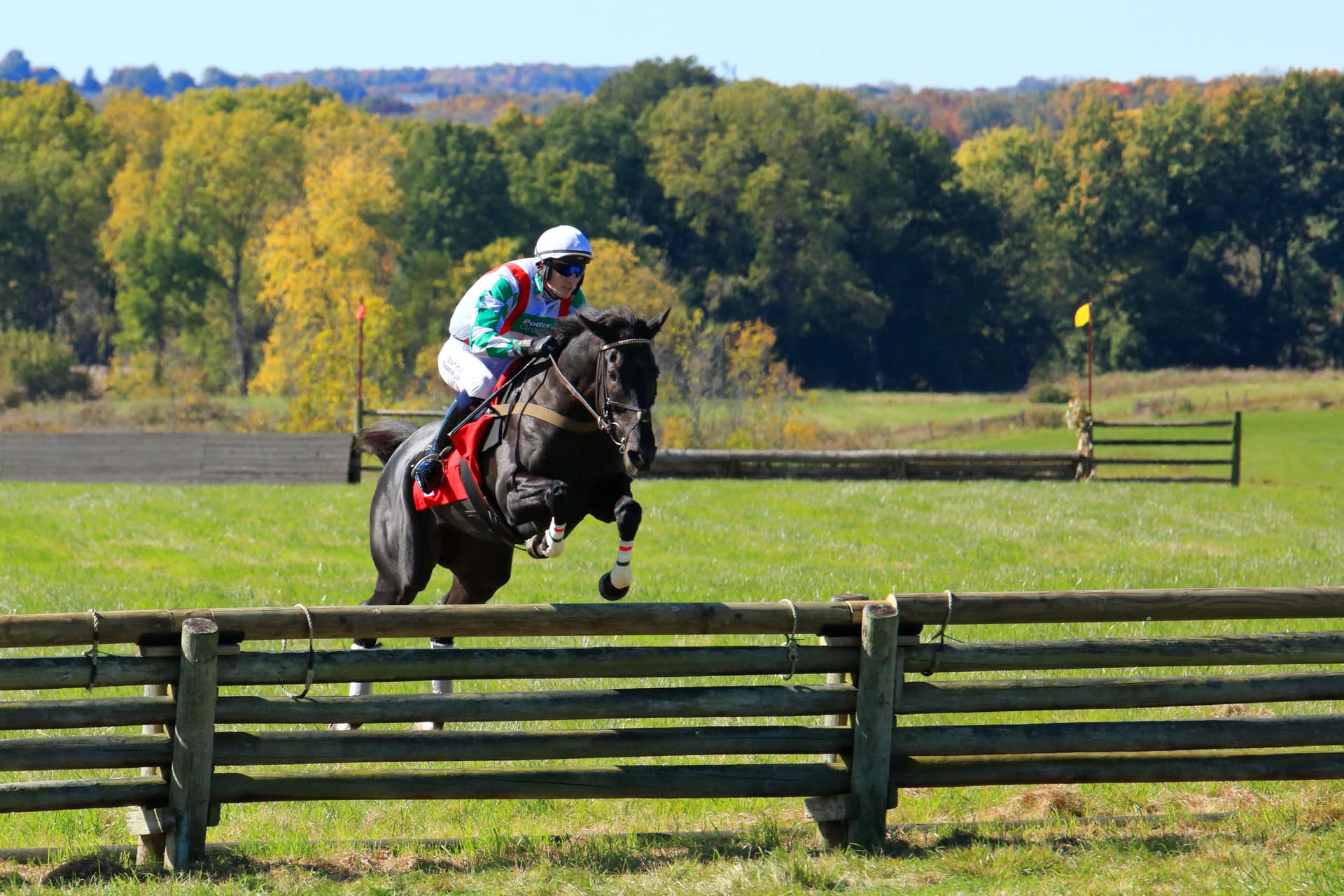 A steeplechaser clearing a fence, the jump racing that Cheltenham betting is all about