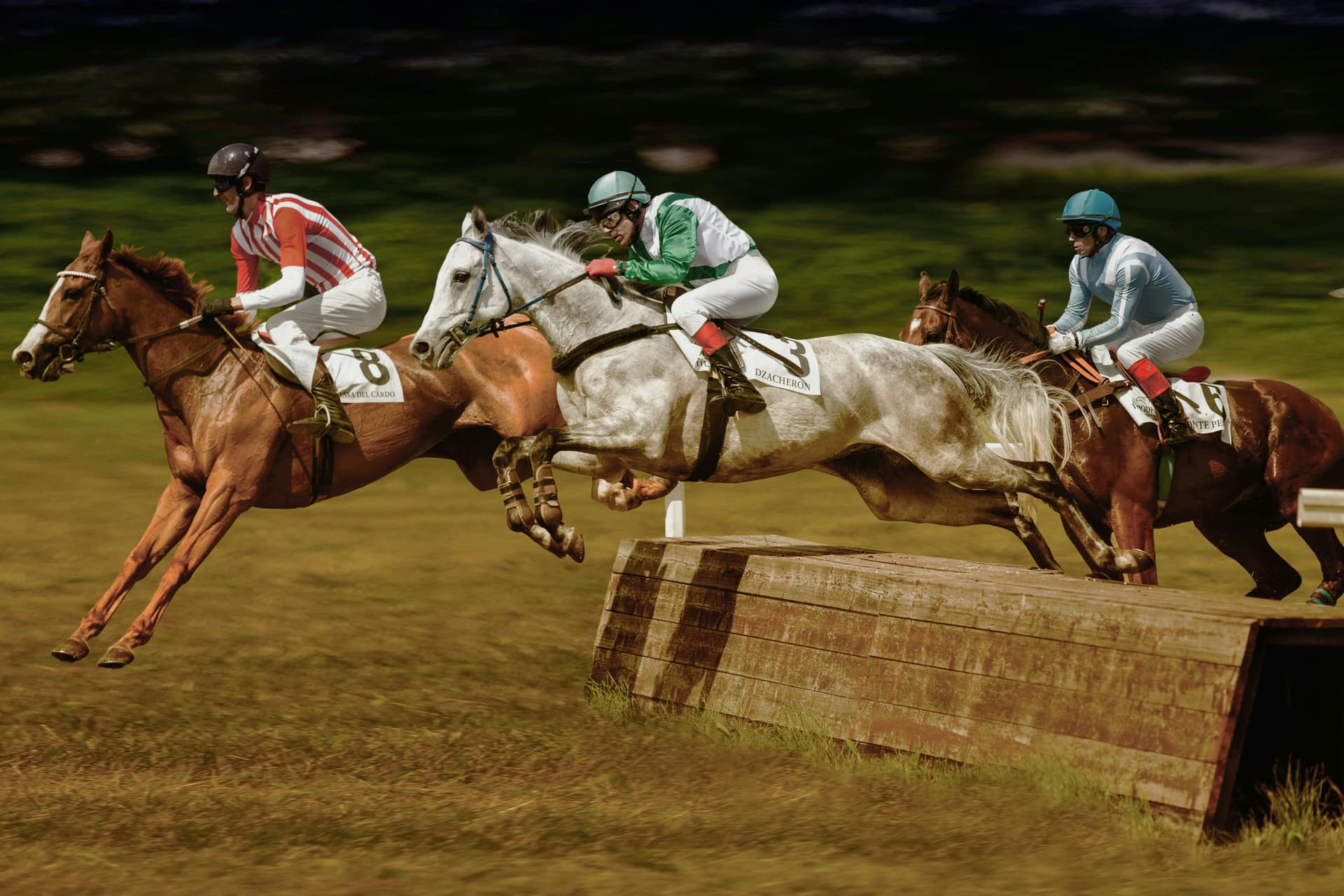 Three horses jumping an obstacle side by side, the jump racing the Cheltenham Festival is built on