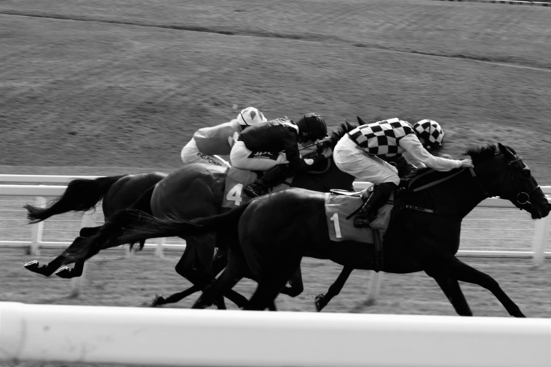 Three racehorses neck and neck near the line, the kind of finish where dead heat rules can decide the payout