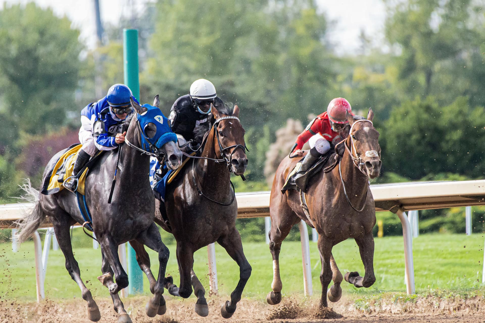 Three Flat racehorses fighting out a close finish near the rail