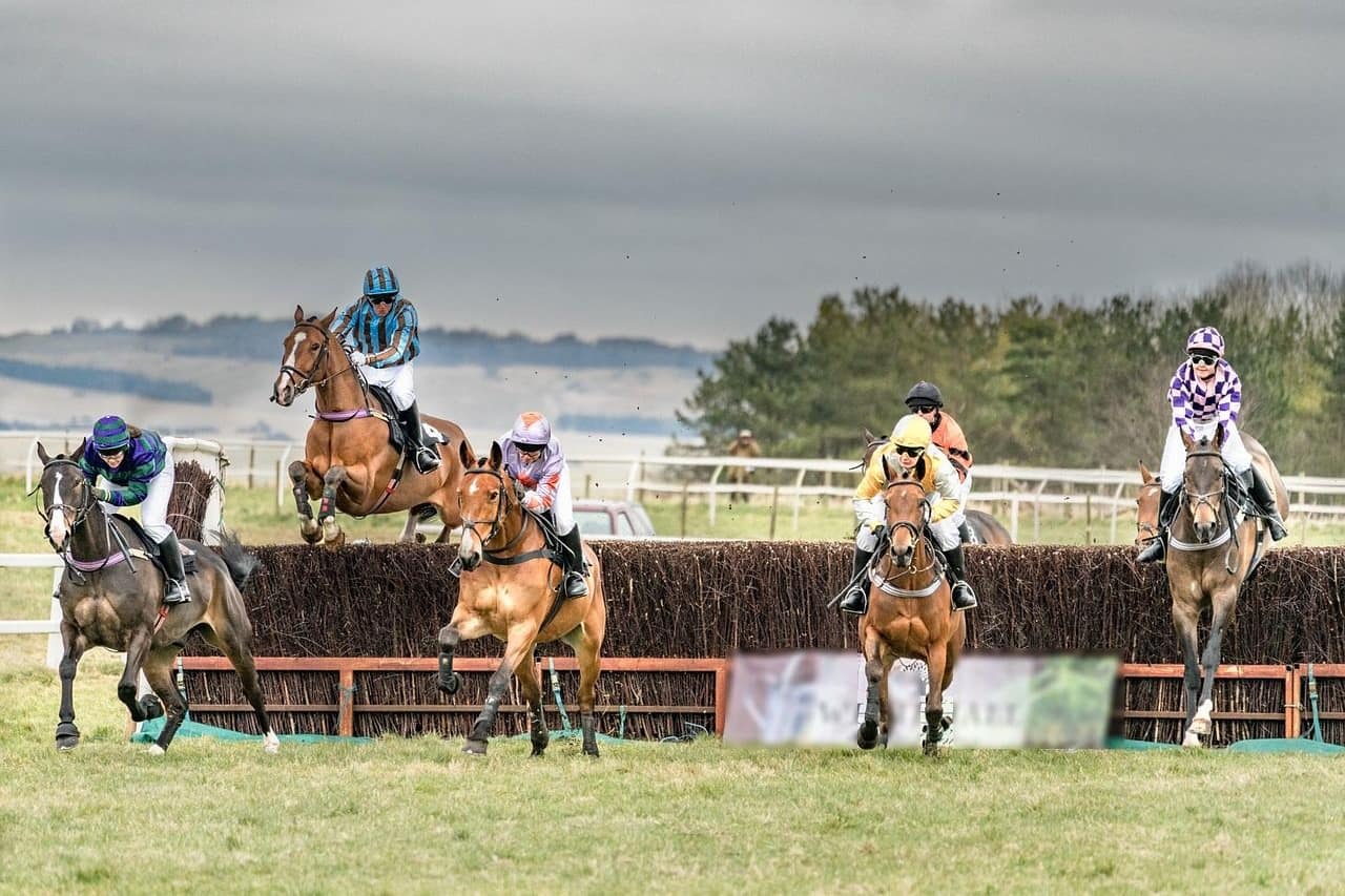 A big field jumping a birch steeplechase fence together, the kind of race the Grand National is famous for