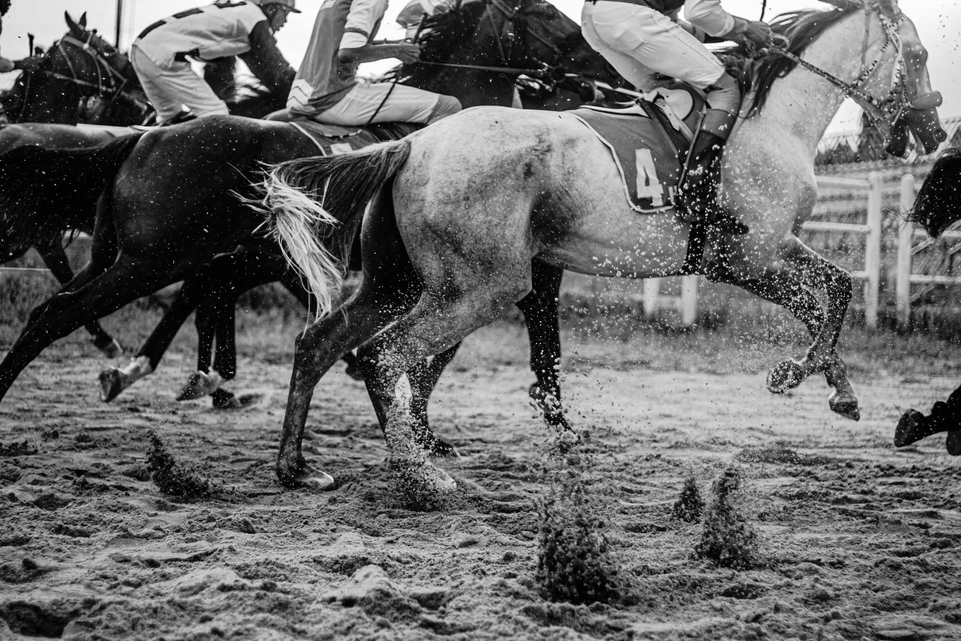 Black and white close-up of racehorses galloping through wet, churned-up ground, clumps flying from their hooves