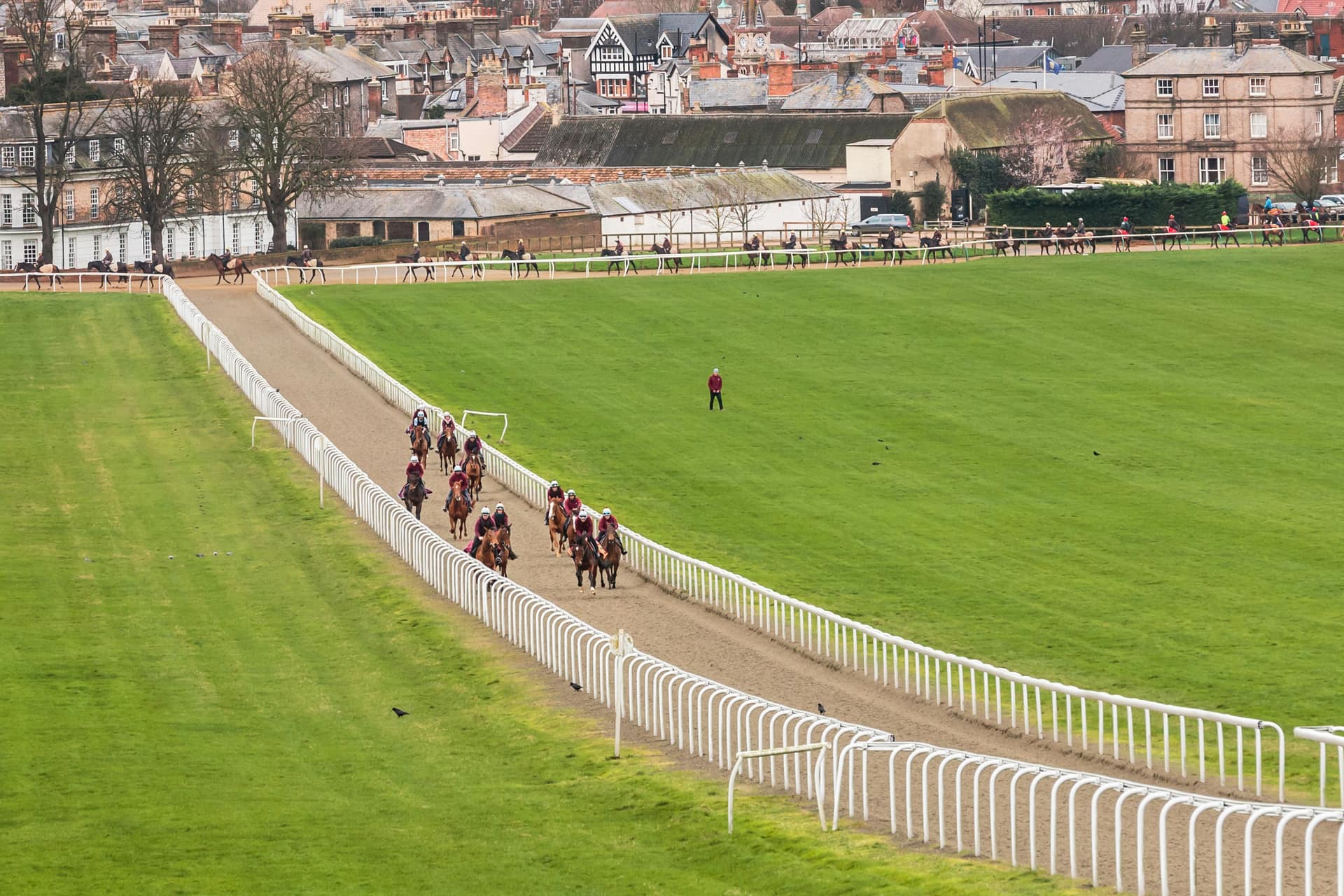 Strings of racehorses on the Warren Hill gallop at Newmarket, where work is measured in furlongs, eight to a mile