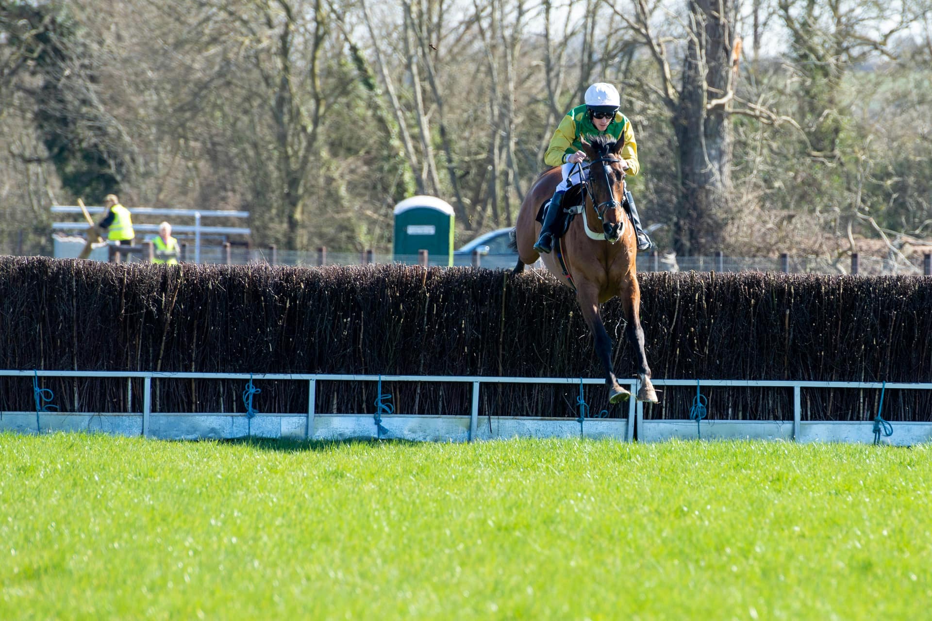 Horse and jockey jumping a birch steeplechase fence, the heart of National Hunt racing