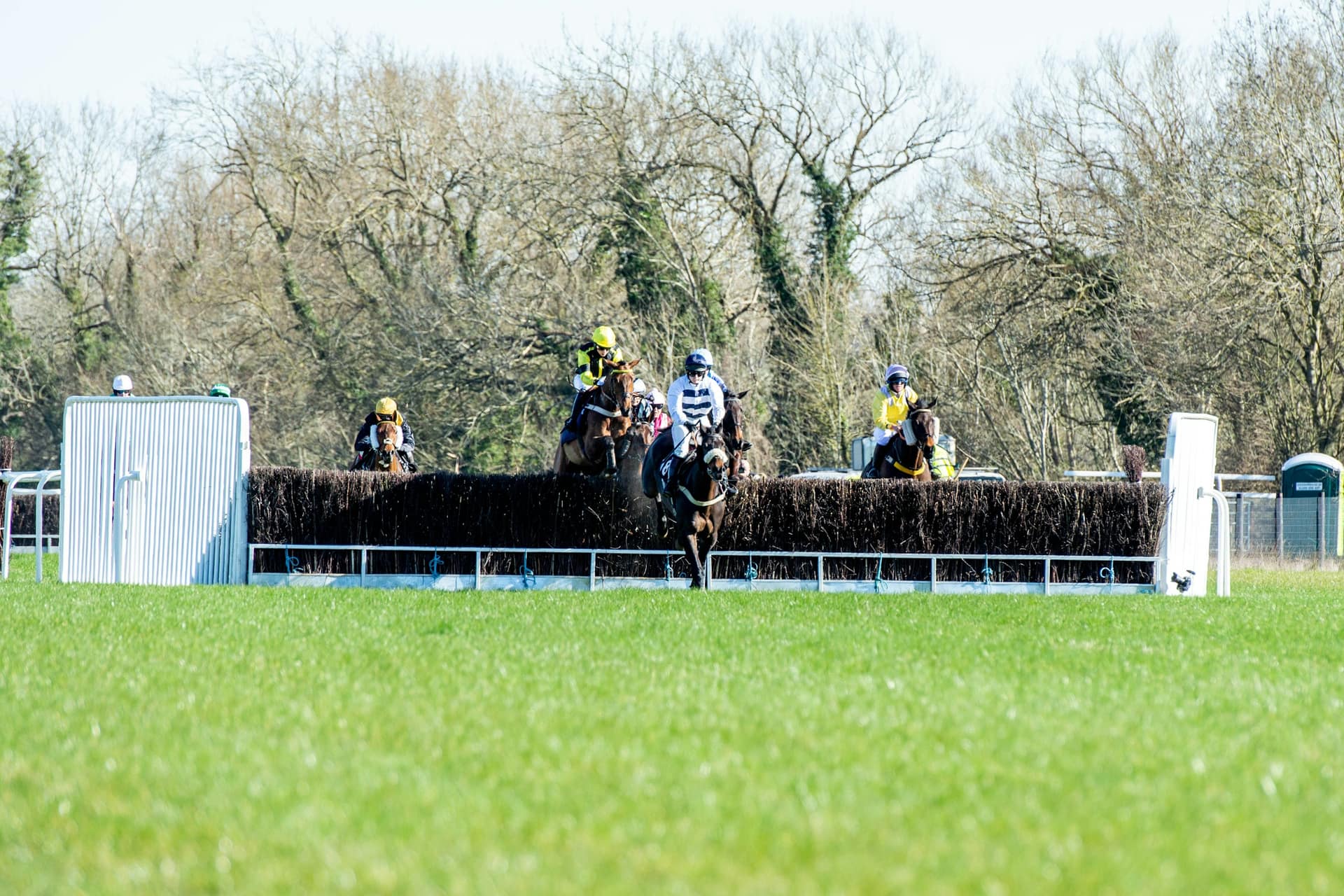 Runners jumping a steeplechase fence at a jumps meeting, one of the six races a Placepot covers