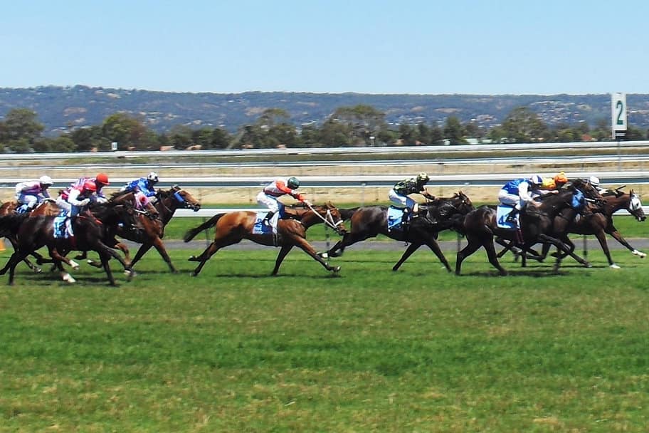 A big field of Flat racehorses at full stretch on a sunny turf course, a furlong marker and hills in the distance