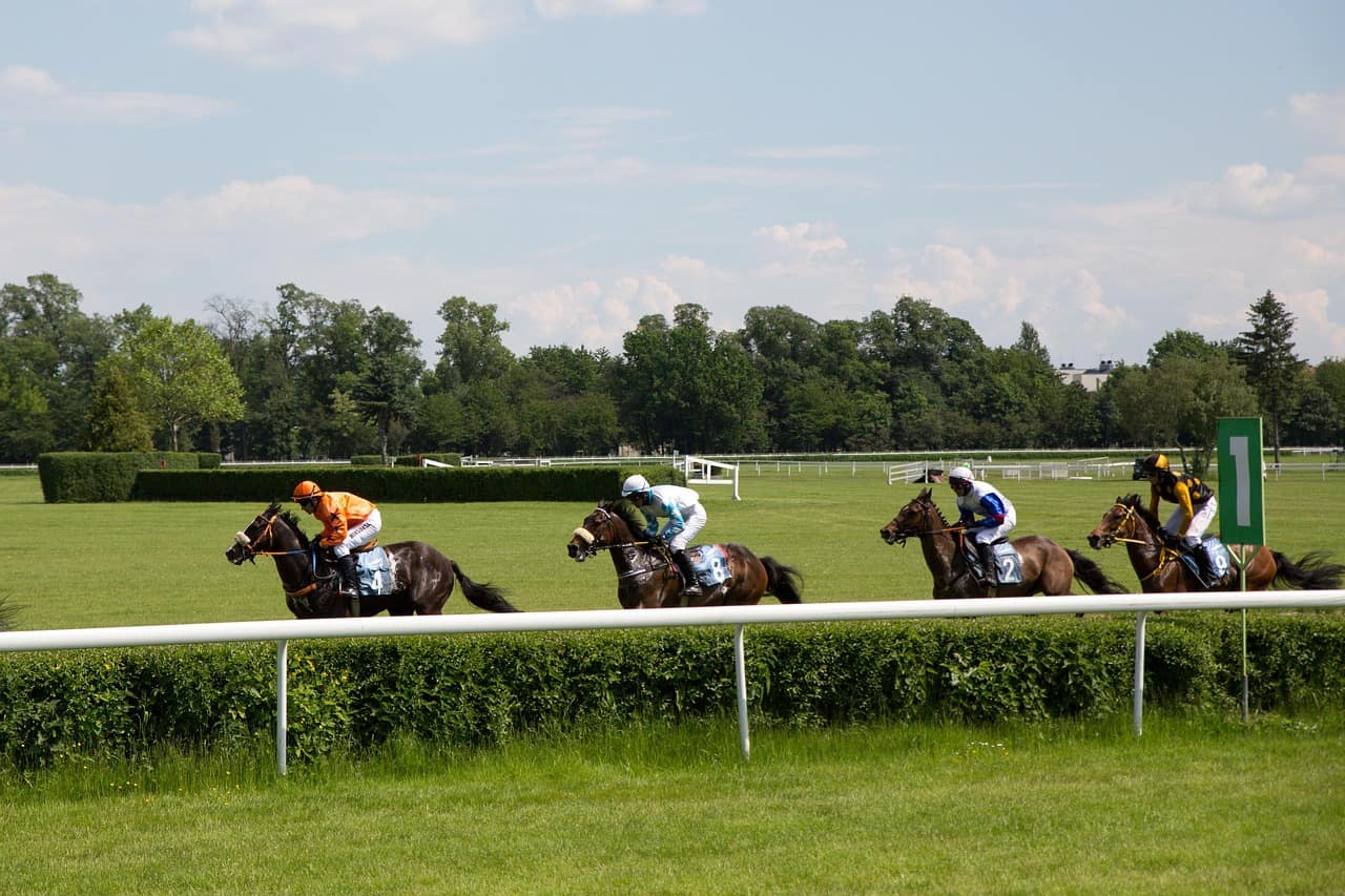 Four Flat racehorses galloping on turf along a hedge-lined rail, the kind of racing Royal Ascot is built on