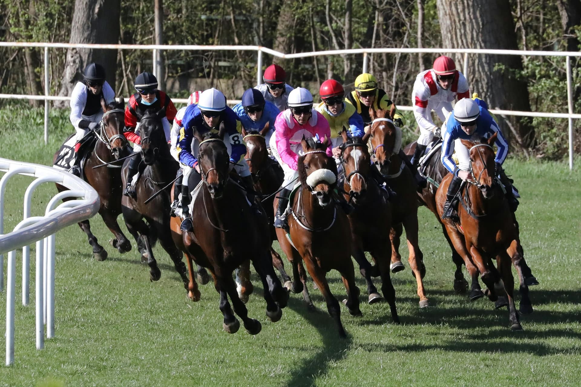 A tightly bunched field racing round a bend, the close quarters that can lead to a stewards enquiry