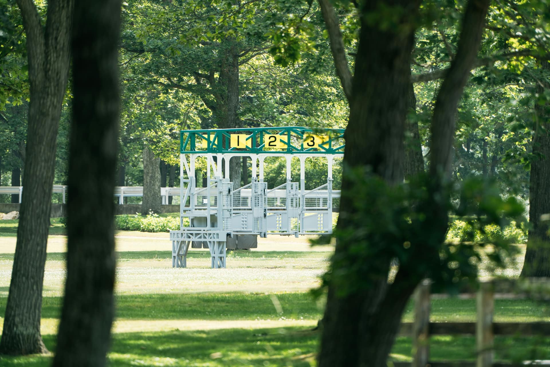 Empty starting stalls on a tree-lined racecourse, where the off fixes the SP, the starting price in horse racing