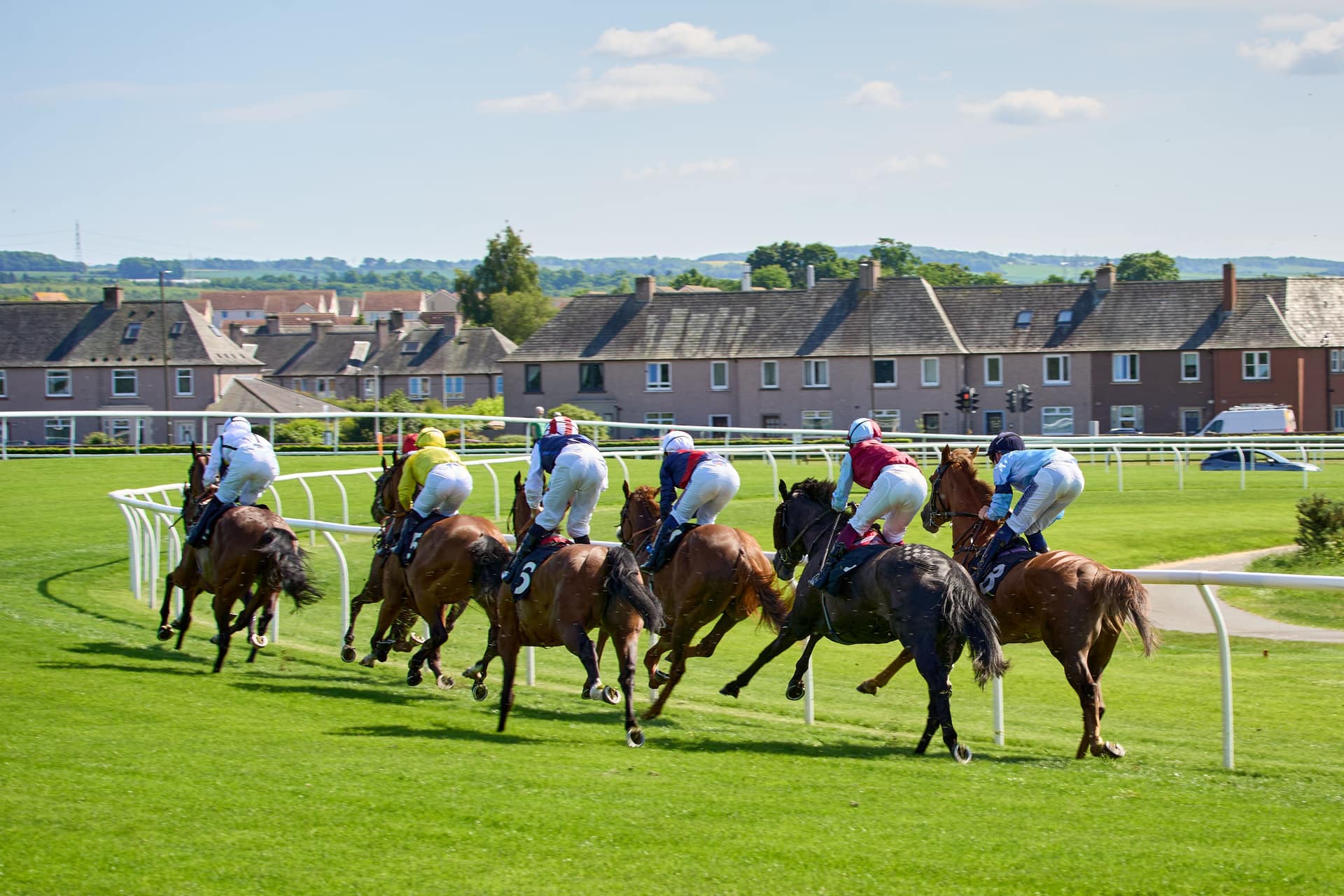 A field of runners on the bend at Musselburgh, one race of the several an accumulator links together