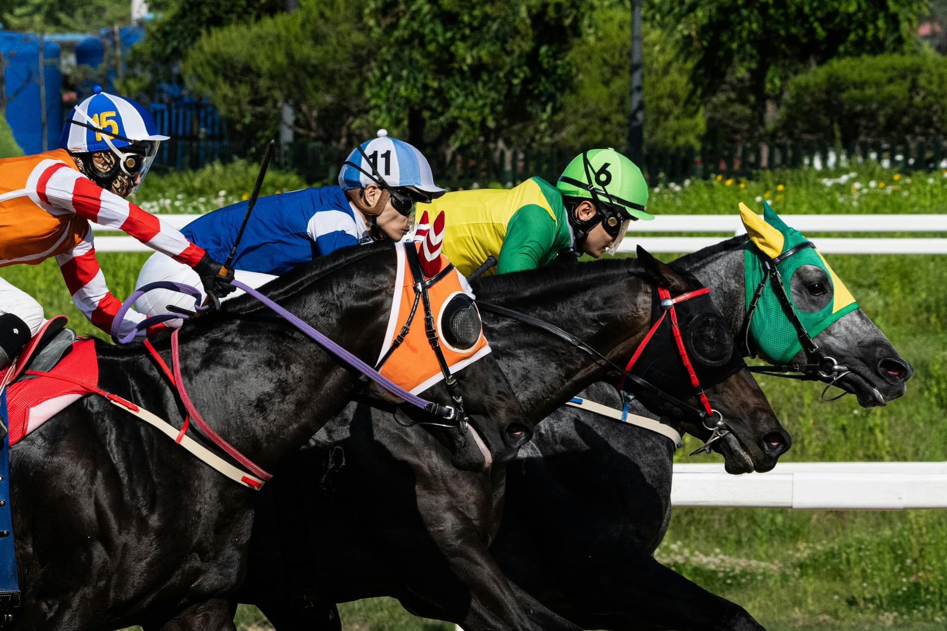 Three racehorses neck and neck in a close finish on turf, the kind of race where an each way bet pays on the places