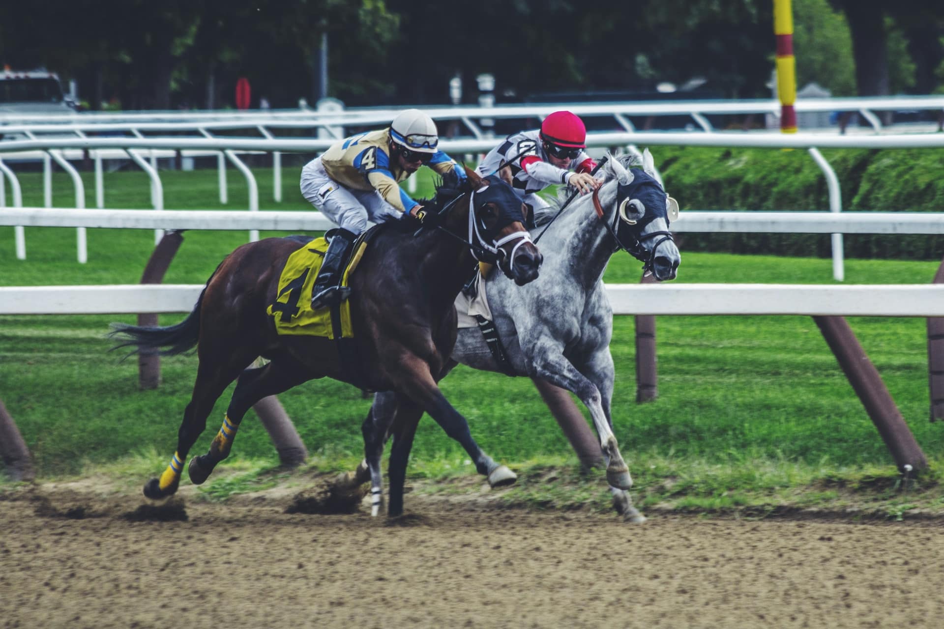 Two racehorses locked together in a head-to-head duel, the backer against the layer in lay betting
