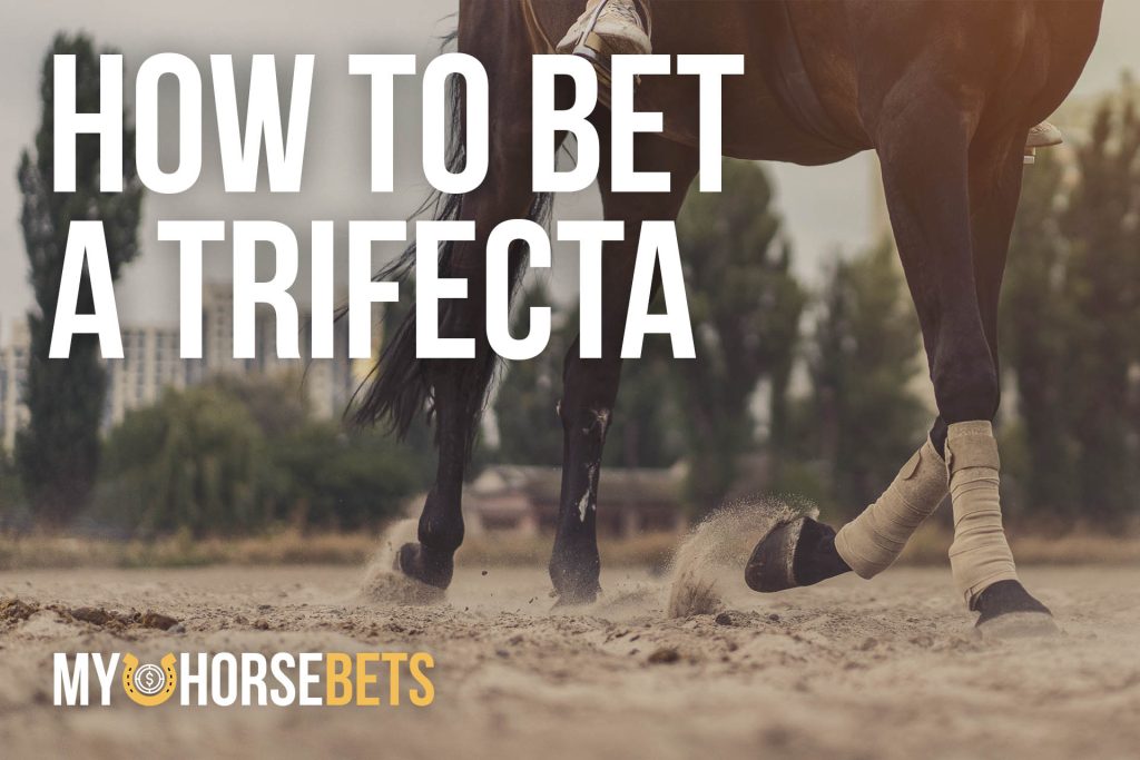 how to bet a trifecta