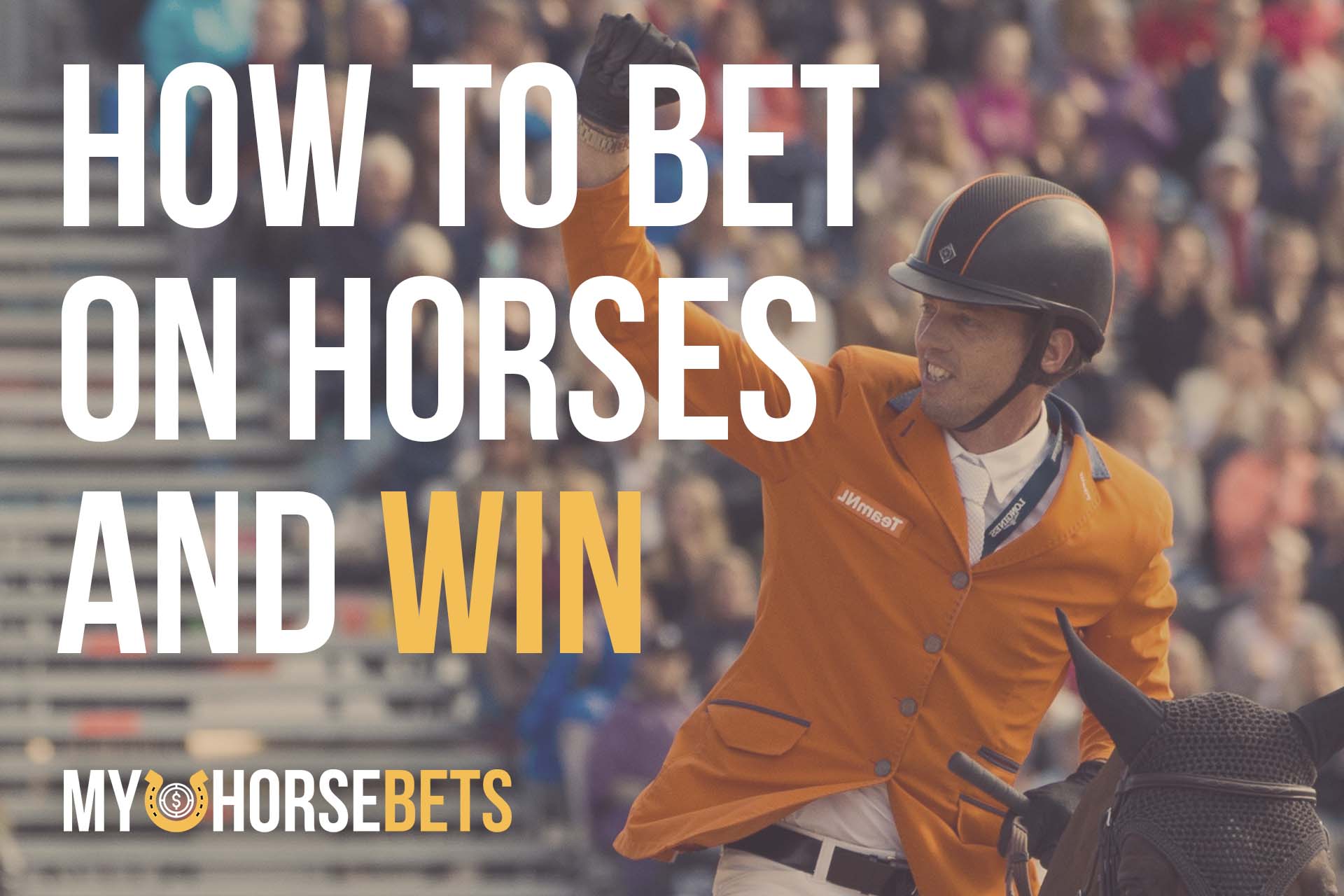 how to bet on horses and win
