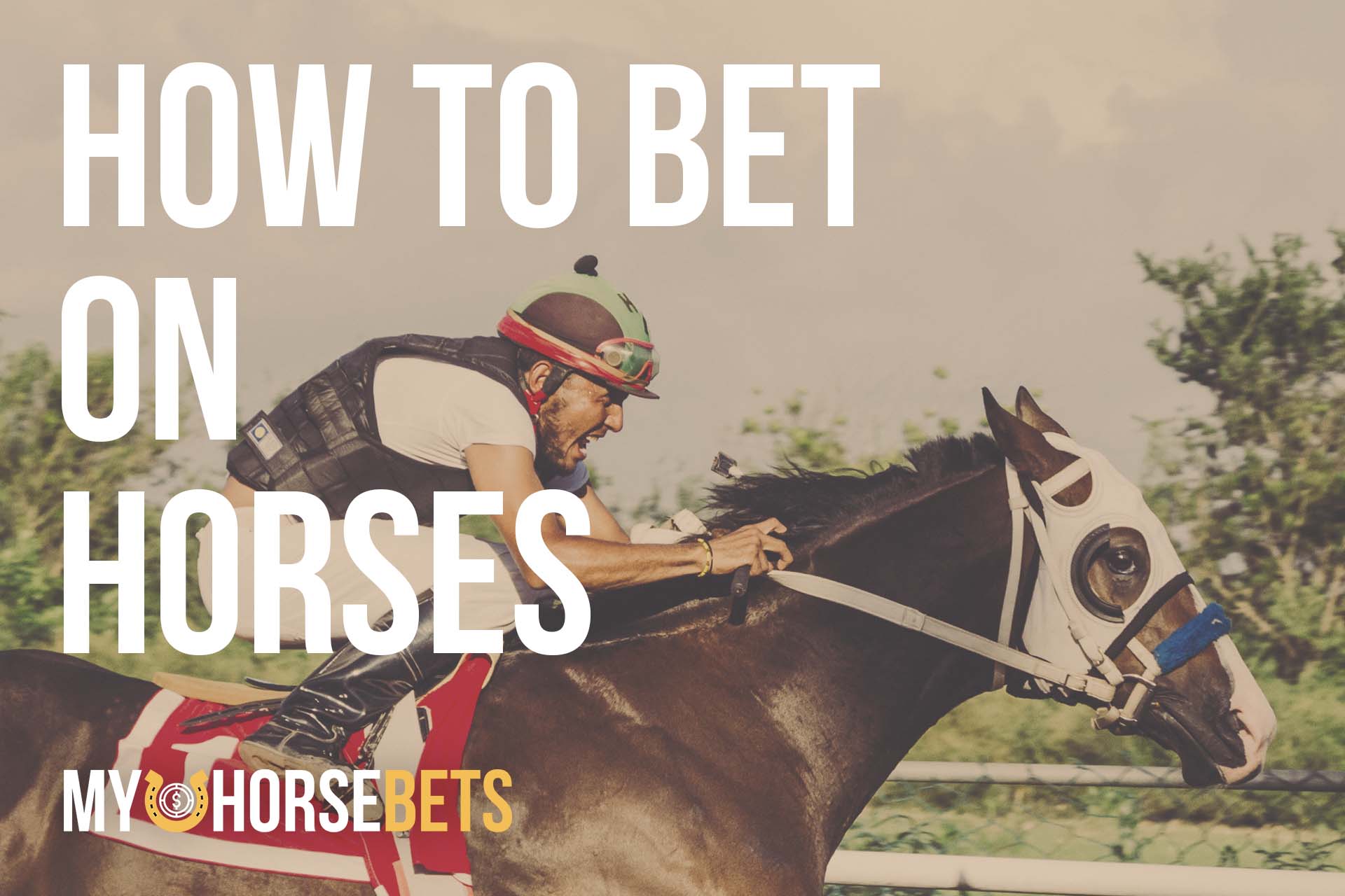 how to bet on horses