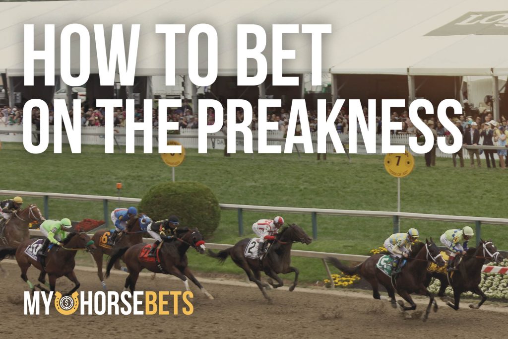 how to bet on the preakness