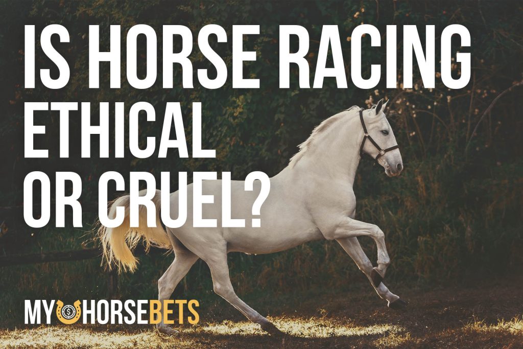 is horse racing ethical or cruel